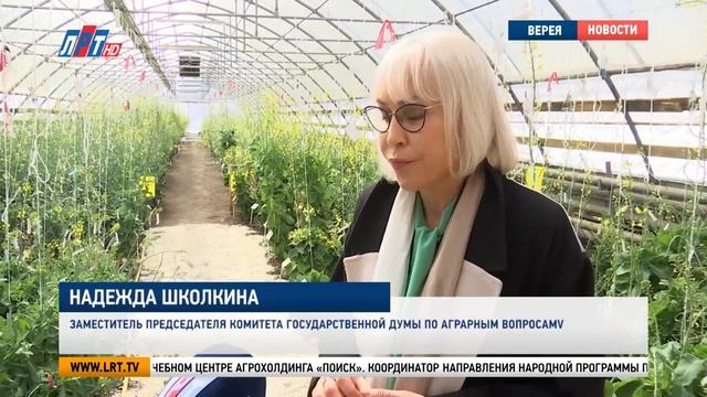 Семеноводство и селекция овощных культур. Как производятся сорта и гибриды овощных культур.