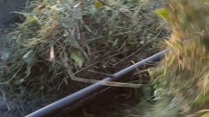 Знаете где настоящая жизнь? В деревне.