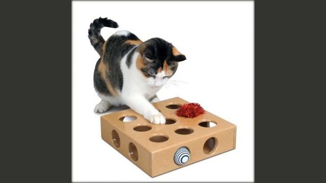 игрушка шарик для кошки смотреть онлайн