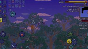 Культист лунатик, за призывателя | Terraria