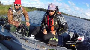 Свимбейты Live Target. Распаковка, первые впечатления и подводные съёмки