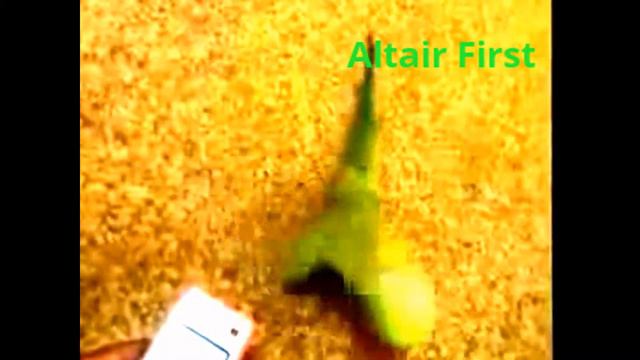 Прикольные животные под музыку смотреть онлайн