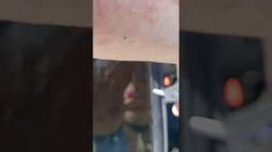 Шкода рапид открыть без ключа.