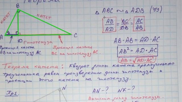 Теорема катета