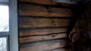 КОП ЦАРСКИХ МОНЕТ С МЕТАЛОИСКАТЕЛЕМ! #копвидео #металоискатель #коп #2023