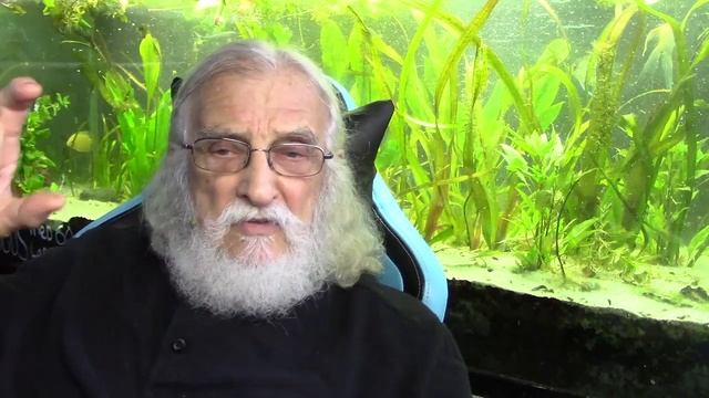 WHAT IS A BALANCED AQUARIUM? смотреть онлайн