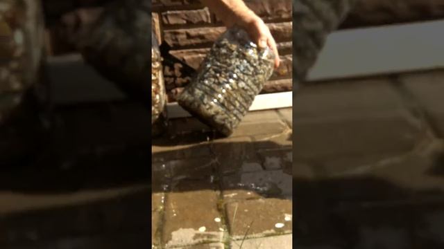 Ищем красивые камни!!!???? смотреть онлайн