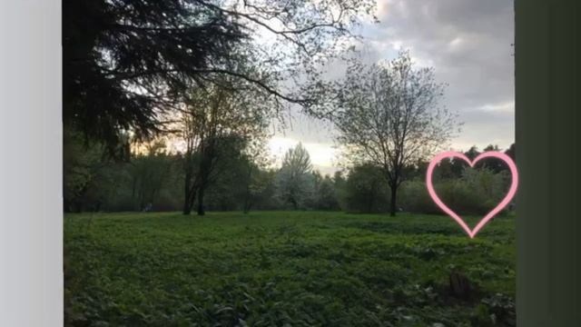 отпустить/sub#саблиминал смотреть онлайн