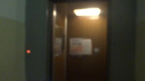 Электрический лифт V=0,71 м-с, грузоподъемность 320 кг (2386)