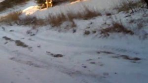 ♥{Универсальный нож} к трактору т16 [первое испытание]♥