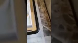 Установка мойки LANGUDDEN из ИКЕА
