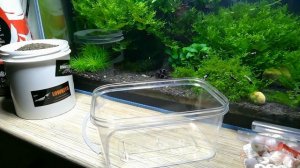 Донный фильтр F. cube  для креветочника.