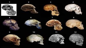 ТОП странных ВОПРОСОВ от КРЕАЦИОНИСТОВ и ответов на них