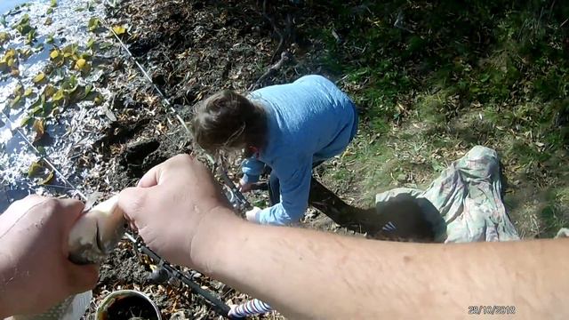 Осенняя рыбалка на КАРАСЯ в малой речке в АСТРАХАНИ. смотреть онлайн