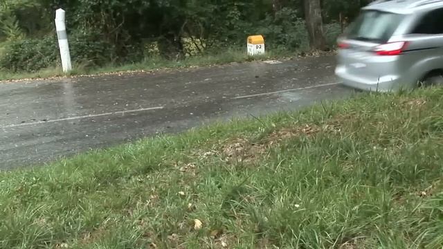 Ford - Torque Vectoring Control смотреть онлайн