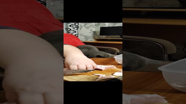 Резали мясо на сушку