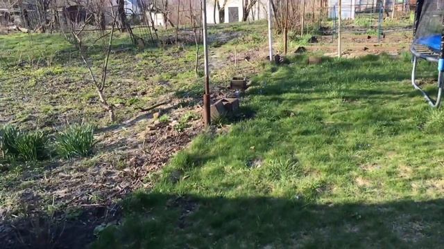 My garden rose! Мой сад роз смотреть онлайн