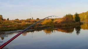 Ловля окуня на микроджиг. Рыбалка на микроджиг на пруду. Тестирую свои силиконовые приманки