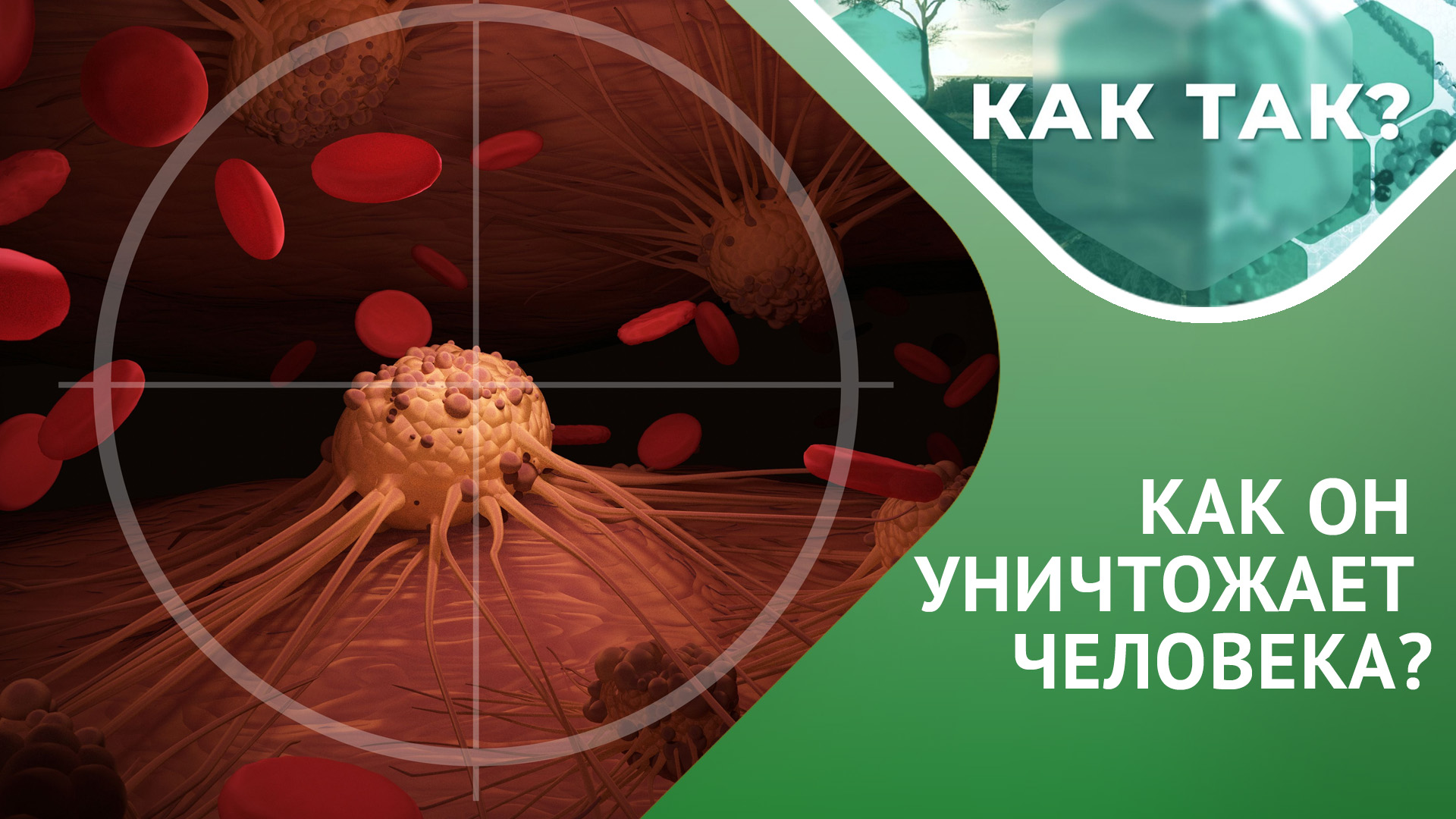 Что такое "РАК"? Как он развивается? Как организм ему противостоит? // КАК ТАК? Выпуск 4 смотреть онлайн