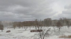 Ветер в СПб