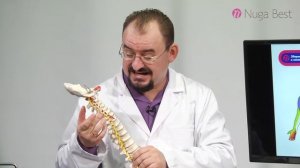 Турманиевая накидка МНР100. Шейный отдел. Доктор Голод.