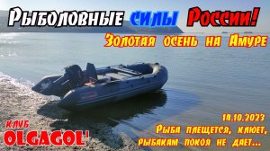 Рыболовные силы России!