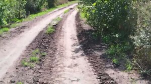 ЧУДО ДЕРЕВНЯ ПЛОСКОЕ! Новодеревеньковское сельское поселение, Орловская