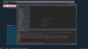 Как запустить в режиме разработчика? Как дебажить в пайчарме?