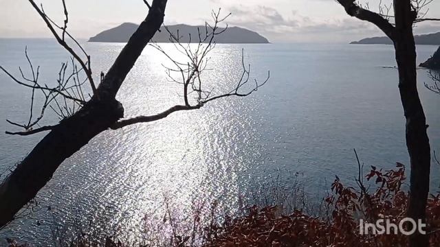 Первые снежинки..Лесная и Бахирева, вид с сопки