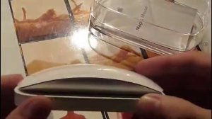 Magic Mouse unboxing