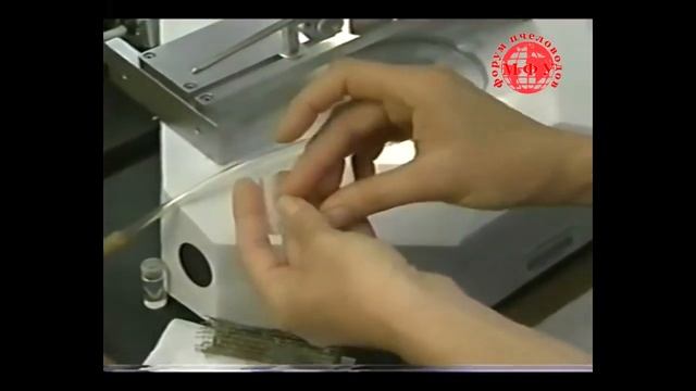 Инструментальное осеменение маток со Сьюзан Кобей (США) смотреть онлайн