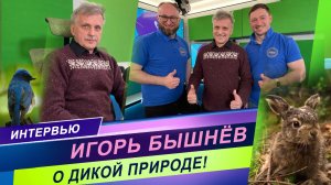 Интервью с режиссером-анималистом / Игорь Бышнев - о любви к природе и своей профессии