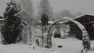 Надежные опоры и арки для клематисов своими руками.