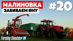 Farming Simulator 22: Малиновка - Следует за мной #20
