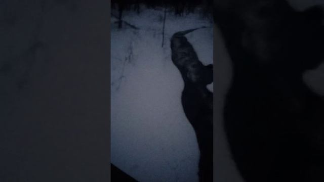 молочные реки смотреть онлайн