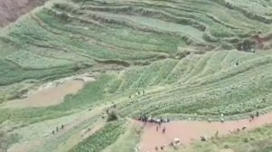 Дракон в Китае, правда или нет?