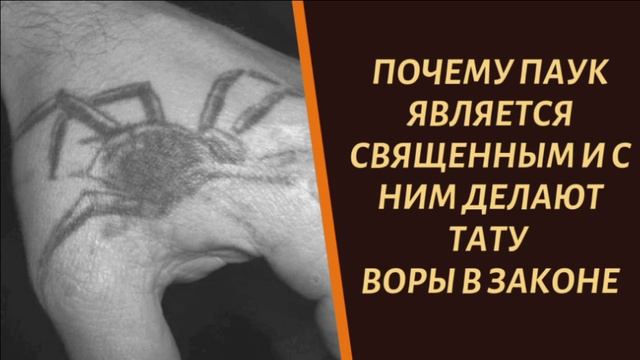 Что значит паук. Тюремная Татуировка паук. Паук наколка в тюрьме. Воровские наколки паук.