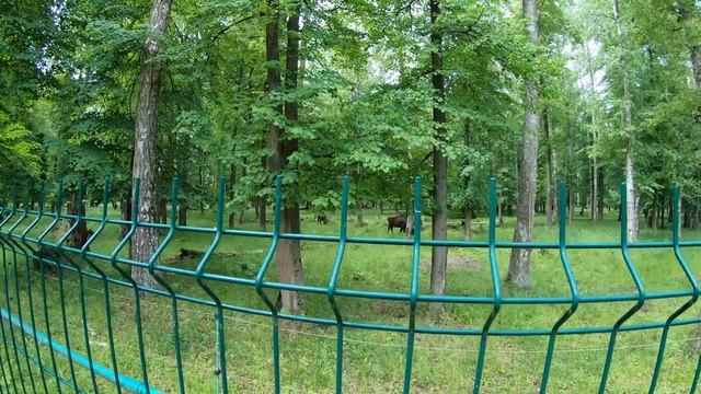 Приокский терассный заповедник смотреть онлайн