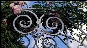 Розы которые меня вдохновляют своей красотой и зимостойкостью.