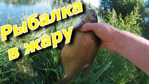 Рыбалка в жару, ловля подлещика на поплавочную удочку.