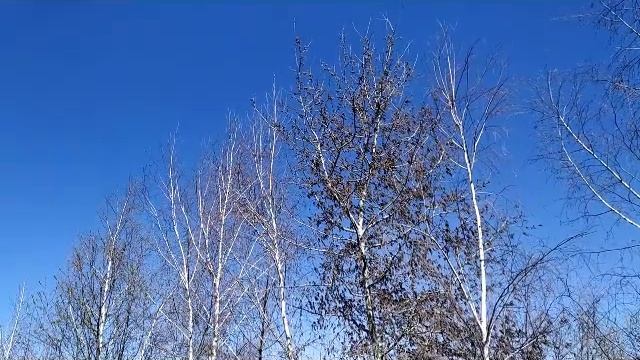 8 апреля- Собор Архангела Гавриила. смотреть онлайн