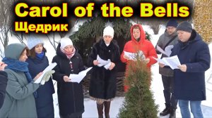 Щедрик - Carol of the Bells.