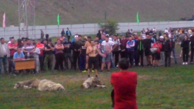 Борьба Сур Харбан 2019 смотреть онлайн