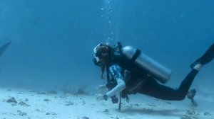 Diving with tiger sharks and OCEAN REEF Neptune III Full Face Mask.