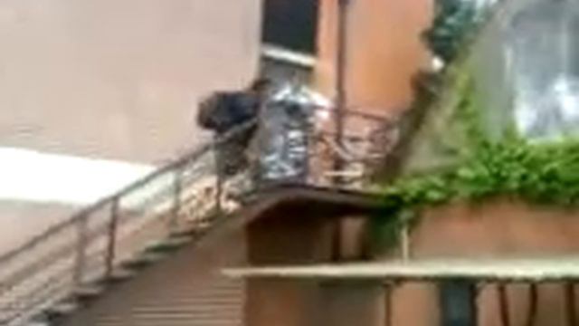 Giving Willem A Ride! смотреть онлайн