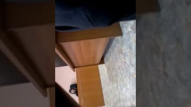 Беззаконие судьи и пристава в мировом суде в Уфе
