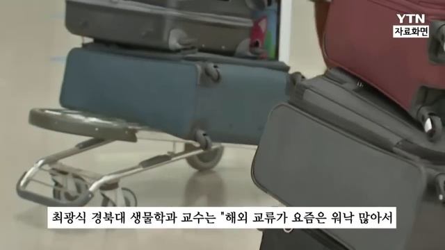 이제 한국도 청정국 아닌가...서울까지 '빈대 습격' [지금이뉴스] / YTN