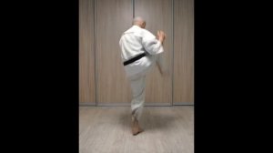 Ката Ашихара каратэ