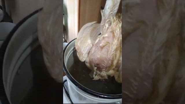 Как ощипать курицу