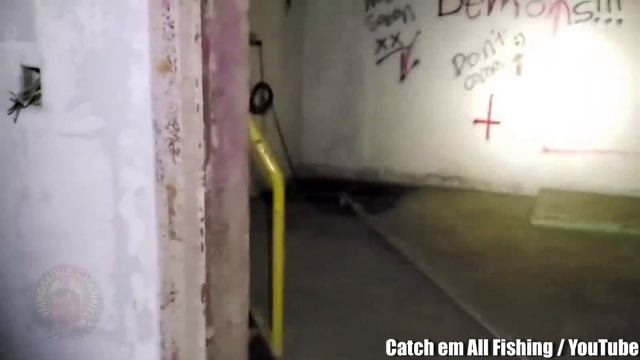 Unbelievable Phenomena You Might NOT Wanna Watch Before Bed смотреть онлайн